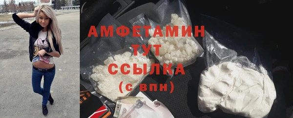 PSILOCYBIN Гусиноозёрск