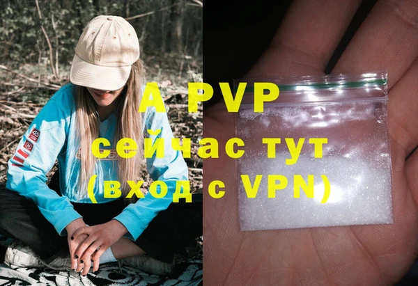 твердый Гусь-Хрустальный