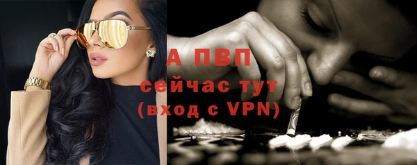 PSILOCYBIN Гусиноозёрск