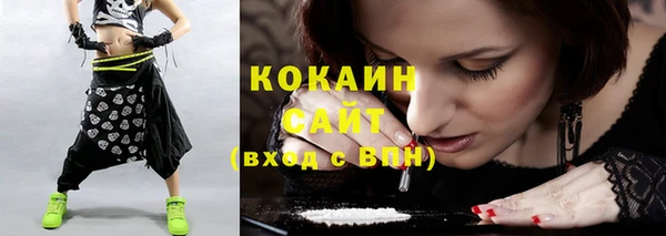 PSILOCYBIN Гусиноозёрск