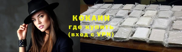твердый Гусь-Хрустальный
